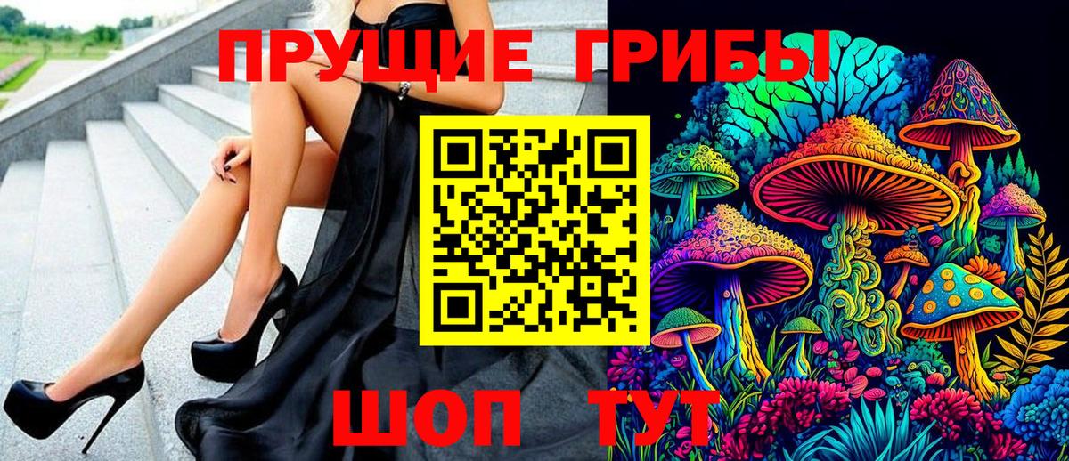 хочу наркоту  Вход с VPN  Можга  Псилоцибиновые грибы мицелий 